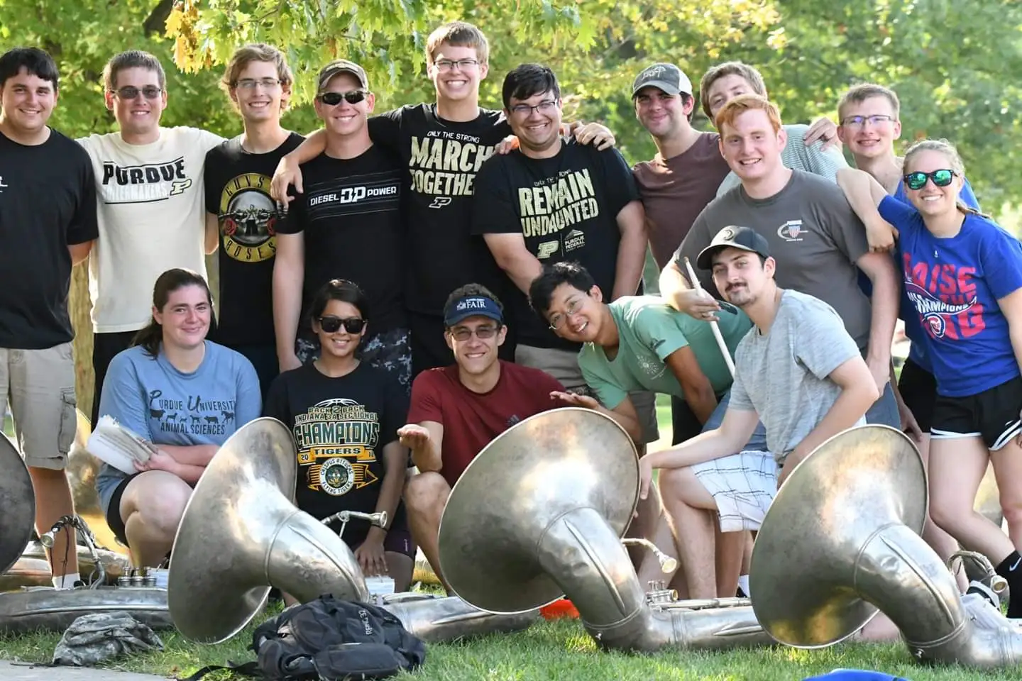 The Section of 2019